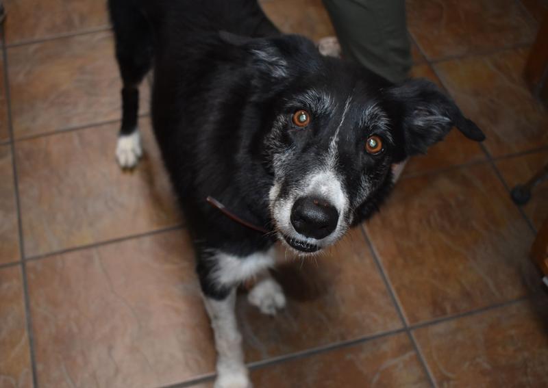 Carousel Slide 5: Wayne